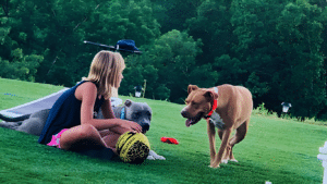 woman sitting on grass with dogs