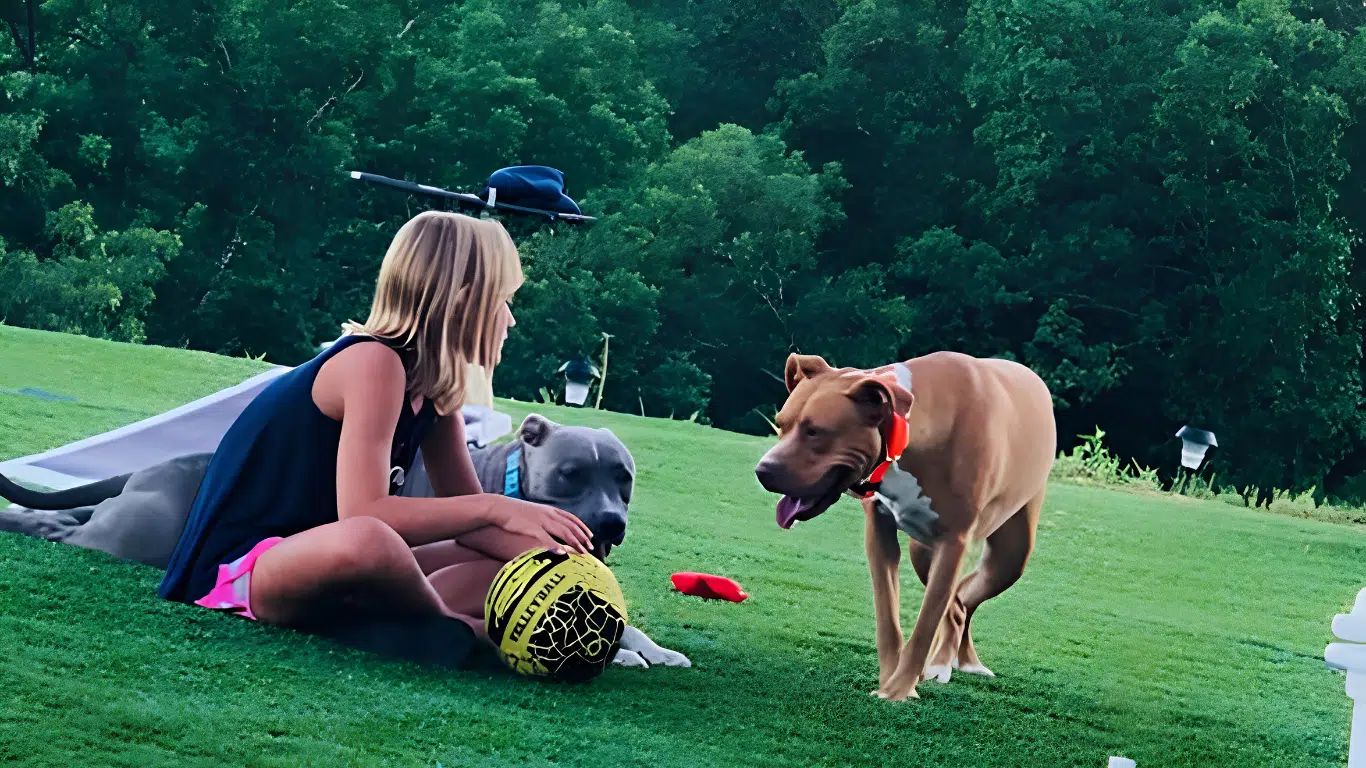 woman sitting on grass with dogs