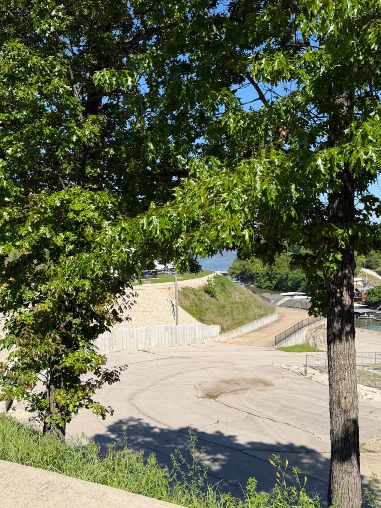 summer leaves can block views but provide shade.